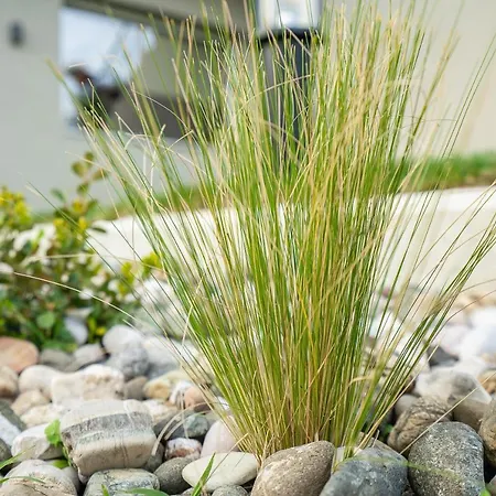 Meteora Vibes Villa Kalambaka